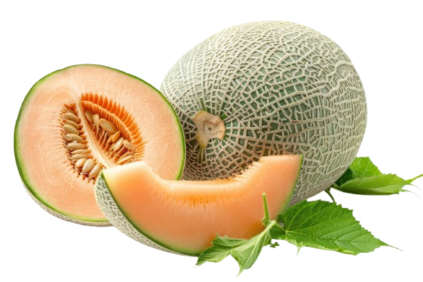 Saveur Melon