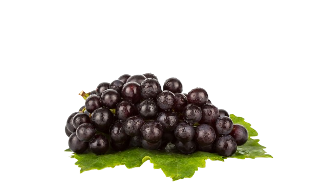 Saveur Raisin